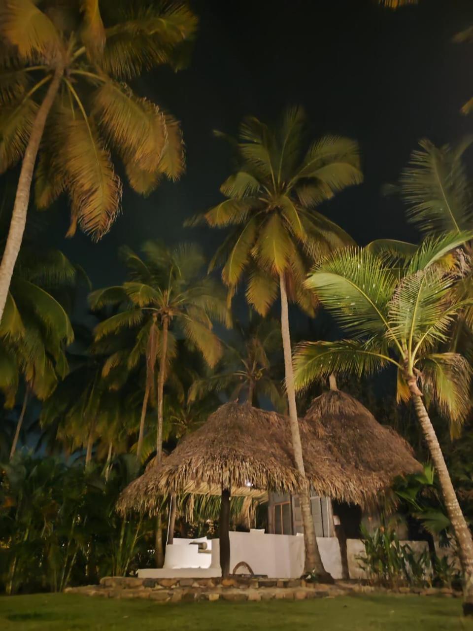 Hotel Casalina Palomino Exteriör bild